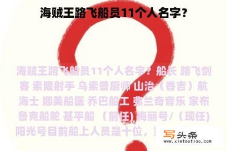 海贼王路飞船员11个人名字？