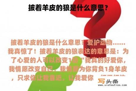 披着羊皮的狼是什么意思？