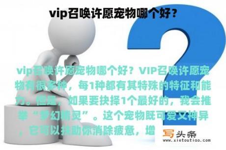 vip召唤许愿宠物哪个好？