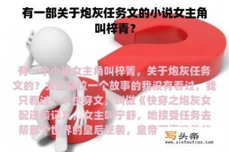 有一部关于炮灰任务文的小说女主角叫梓青？