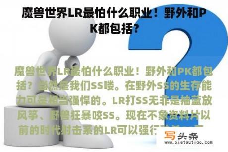 魔兽世界LR最怕什么职业！野外和PK都包括？