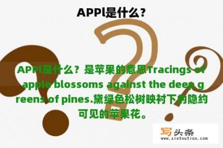 APPl是什么？