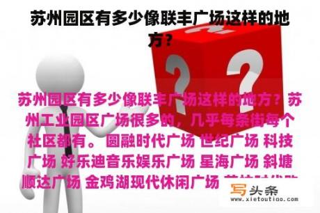 苏州园区有多少像联丰广场这样的地方？