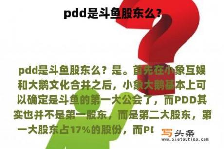 pdd是斗鱼股东么？