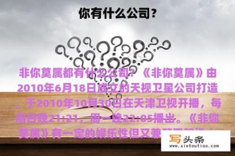 你有什么公司？