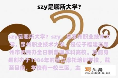 szy是哪所大学？