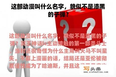 这部动漫叫什么名字，貌似不是漆黑的子弹？