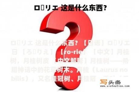 ローリエ 这是什么东西？