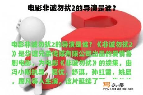 电影非诚勿扰2的导演是谁？