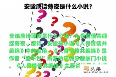 安谧唐诗薄夜是什么小说？