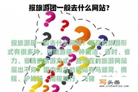 报旅游团一般去什么网站？