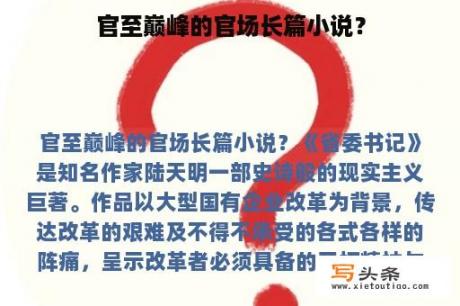 官至巅峰的官场长篇小说？