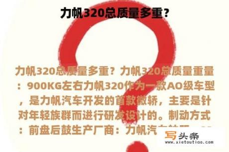 力帆320总质量多重？