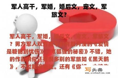 军人高干，军婚，婚后文，宠文，军旅文？