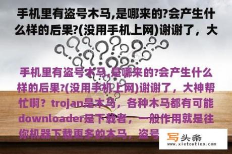 手机里有盗号木马,是哪来的?会产生什么样的后果?(没用手机上网)谢谢了，大神帮忙啊？