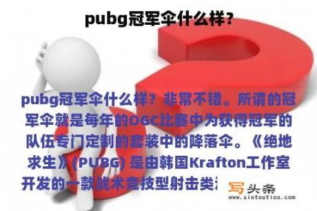 pubg冠军伞什么样？