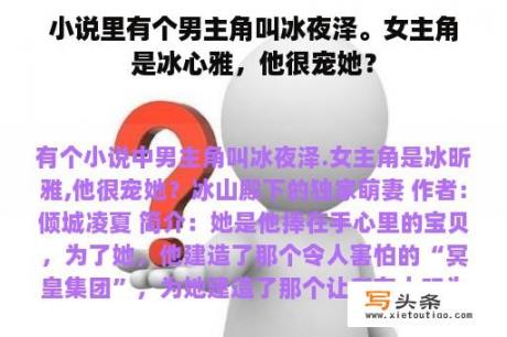 小说里有个男主角叫冰夜泽。女主角是冰心雅，他很宠她？