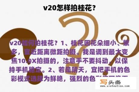 v20怎样拍桂花？