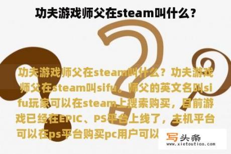 功夫游戏师父在steam叫什么？