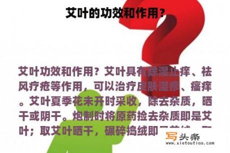 艾叶的功效和作用？