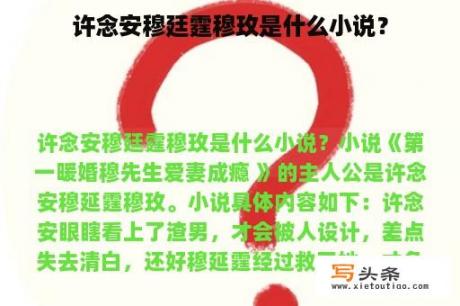 许念安穆廷霆穆玫是什么小说？