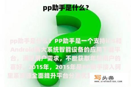 pp助手是什么？