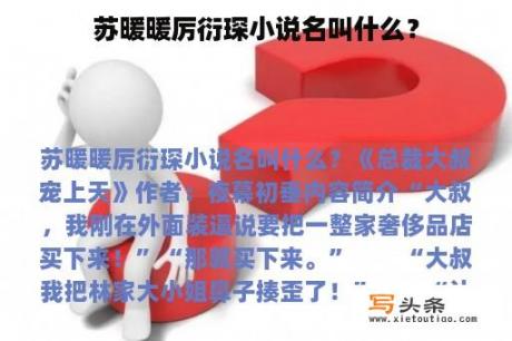 苏暖暖厉衍琛小说名叫什么？