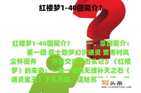 红楼梦1-40回简介？