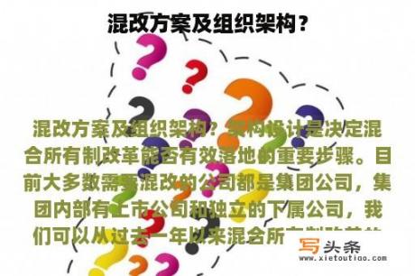 混改方案及组织架构？