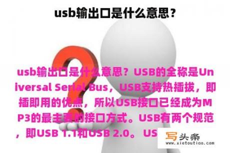 usb输出口是什么意思？