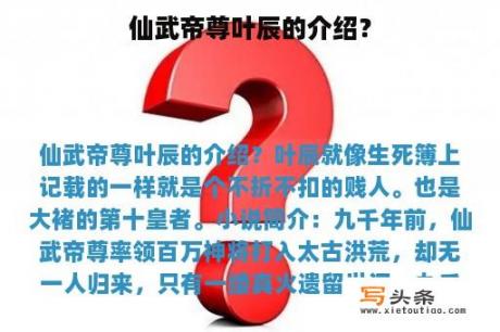 仙武帝尊叶辰的介绍？