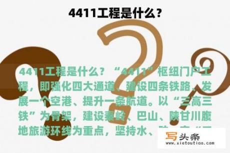 4411工程是什么？