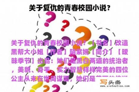 关于复仇的青春校园小说？