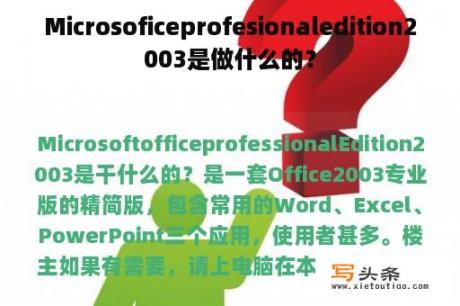 Microsoficeprofesionaledition2003是做什么的？