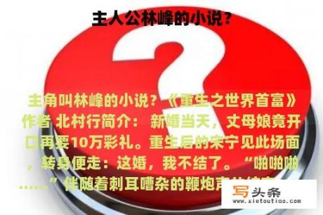 主人公林峰的小说？