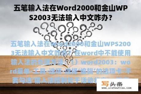 五笔输入法在Word2000和金山WPS2003无法输入中文咋办？