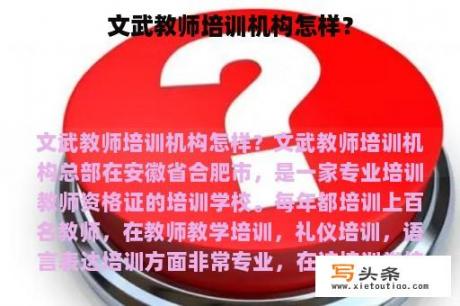 文武教师培训机构怎样？