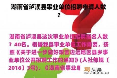 湖南省泸溪县事业单位招聘申请人数？