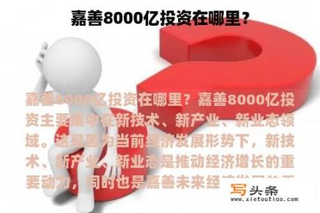 嘉善8000亿投资在哪里？