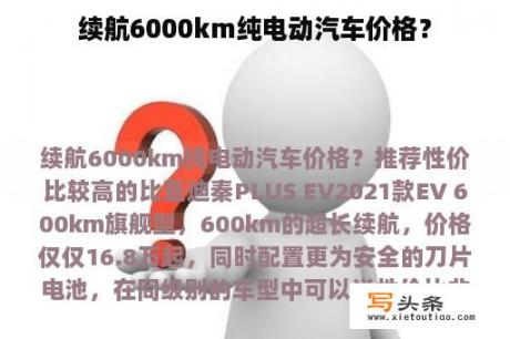 续航6000km纯电动汽车价格？