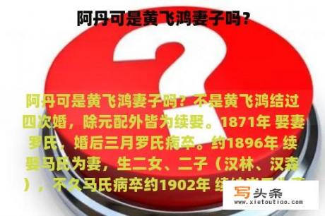 阿丹可是黄飞鸿妻子吗？