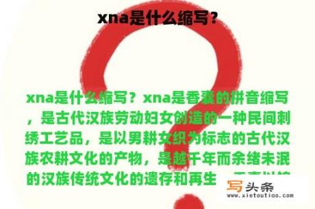 xna是什么缩写？