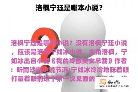 洛枫宁珏是哪本小说？