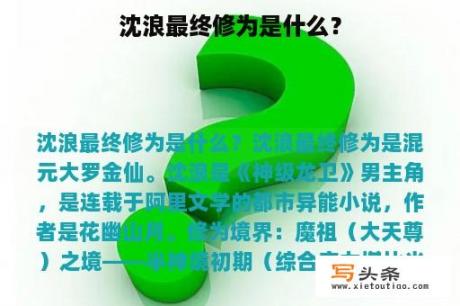 沈浪最终修为是什么？