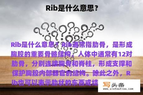 Rib是什么意思？