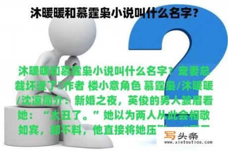 沐暖暖和慕霆枭小说叫什么名字？