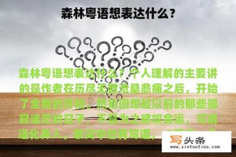 森林粤语想表达什么？