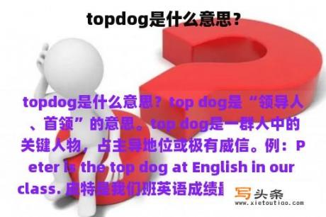 topdog是什么意思？