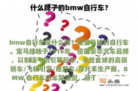 什么牌子的bmw自行车？