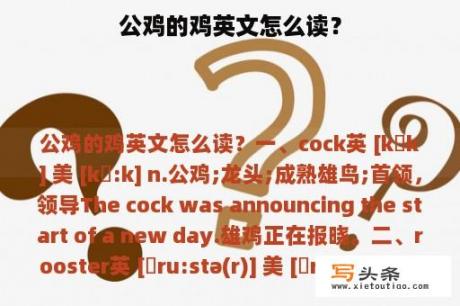 公鸡的鸡英文怎么读？